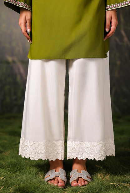 Cotton Canvas