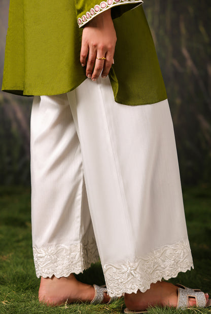 Cotton Canvas